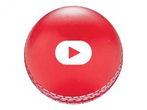 Ashes Cricket Stress Balls