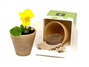 Flourish Cornstarch Bio Pots In Gift Box