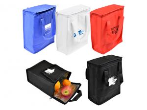 Petite Lunch Cooler Bags