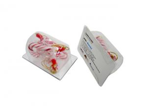 Candy Canes With Business Cards (x4)