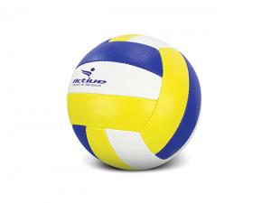 Pro Athlete Volleyballs (Size: 5)
