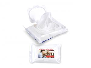 Citrus Scented Anti Bacterial Wipes (x20)