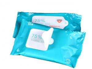 Disinfectant Wipes (Pack of 10)
