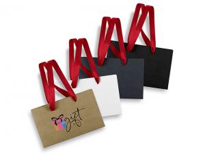 Small Paper Ribbon Carry Bags (133mm x 210mm)