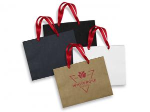 Large Paper Ribbon Carry Bags (254mm x 330mm)
