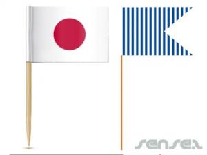 Custom Toothpick Flags