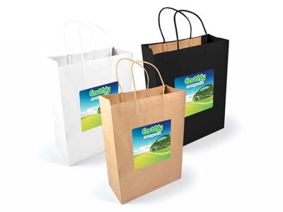 Eco Kraft Paper Bags (Large)