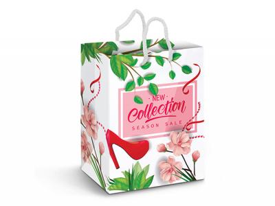 ラミネートカラープリントペーパーバッグ（Lrg）