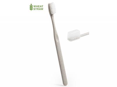 Wheat Straw Toothbrushes