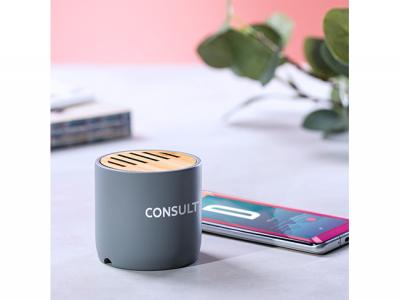 Bamboo & Limestone Cement Bluetooth Speakers