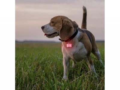 Reflective Lights For Pets