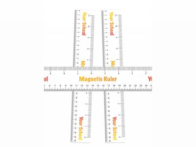 Magnetic Rulers (30cm)