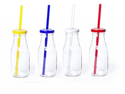 Colourful Glass Bottles With Straw (320ml)