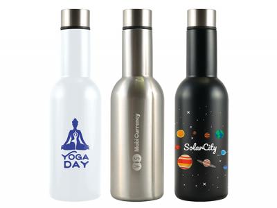 Sleek Vacuum Insulated Water Bottles (500ml)
