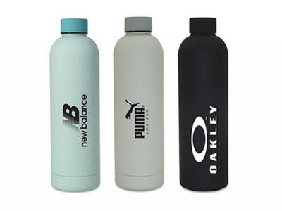 Dylan Doppelwandige Wasserflaschen (750 ml)