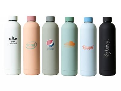 Dylan Doppelwandige Wasserflaschen (750 ml)