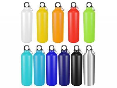 Aluminium Drink Bottles   (750ml)