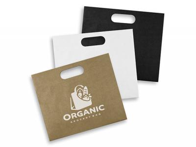 Large Landscape Paper Carry Bag (283mm x 330mm)