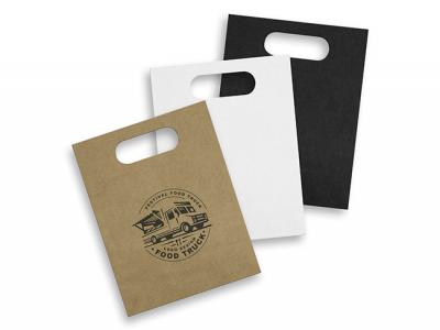 Medium Portrait Paper Carry Bag ( 276mm x 214mm)