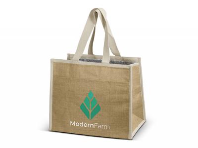 Cooler Bags (13L)