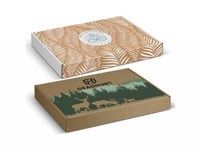 Die Cut Box with Locking Lid (320x230x35mm)