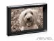 Acrylic Photo Frames