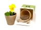 Flourish Cornstarch Bio Pots In Gift Box