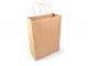 Eco Kraft Paper Bags (Large)