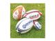 Mini Promo Rugby Balls
