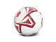 Pro Football Soccer Balls (Size: 5)