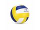 Pro Athlete Volleyballs (Size: 5)