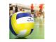 Pro Athlete Volleyballs (Size: 5)