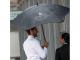 Patentierte BLUNT Exec Regenschirme