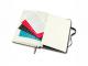 Moleskine® 2025 Planners - Daily