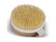 Wooden Body Brushes