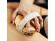 Wooden Body Brushes
