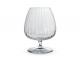 Luigi Bormioli Optica Cognac Glasses (465ml)