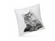 Plush Cushions (40x40cm)