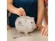 Eco Piggy Banks