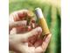Lip Balms ( Bamboo)