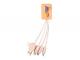 4 In 1 Natural Bamboo Charging Cables