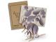 Basswood Model Kangaroos