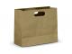 Large Landscape Paper Carry Bag (283mm x 330mm)