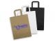 Large Portrait Flat Handle Paper Bags (330mm x 254mm)
