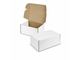 Die Cut Box with Locking Lid (360x260x134mm)