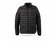 Jackets ( Puffer)