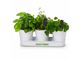 Herb planters (Keepsake)