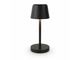 Recycled Mini Desk Lamps (Rechargeable)